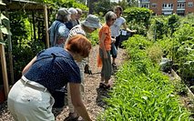 Aug 2024 Global Gardens 3