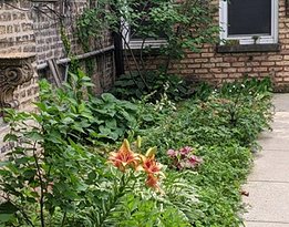 June 2026 Harvey garden 3