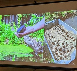 )ctober 2025 Wild Mile 4