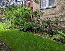 June 2026 Harvey garden 2