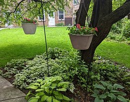 June 2026 Harvey garden 1