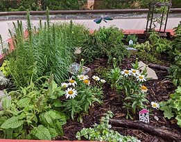 July 2025 GD Garden 1