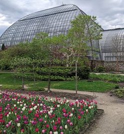 April 2025 GarfieldPk 6