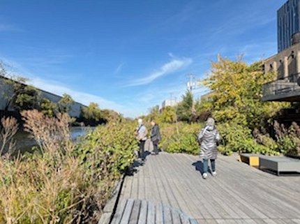 Oct 2025 Wild Mile trip 3