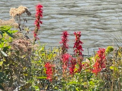 Oct 2025 Wild Mile trip 4